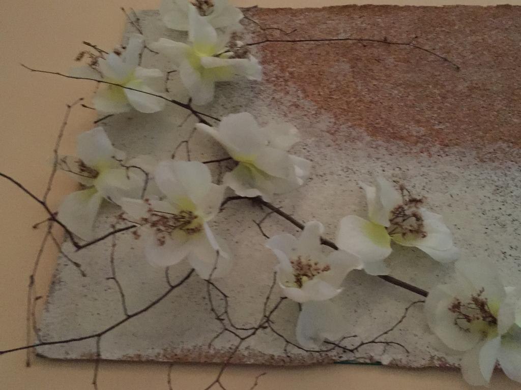 Il Ghiretto Appartamento Riccò del Golfo di Spezia Zimmer foto